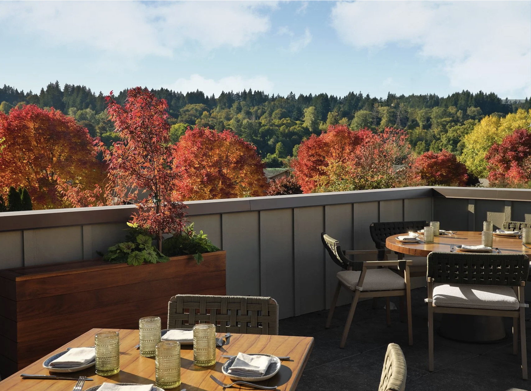 Screenshot 2026-02-13 at 11.24.49 AM.png