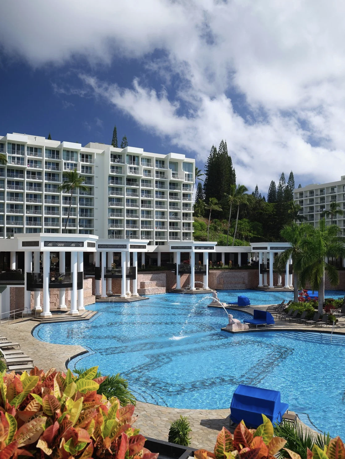 Screenshot 2026-02-13 at 11.33.23 AM.png