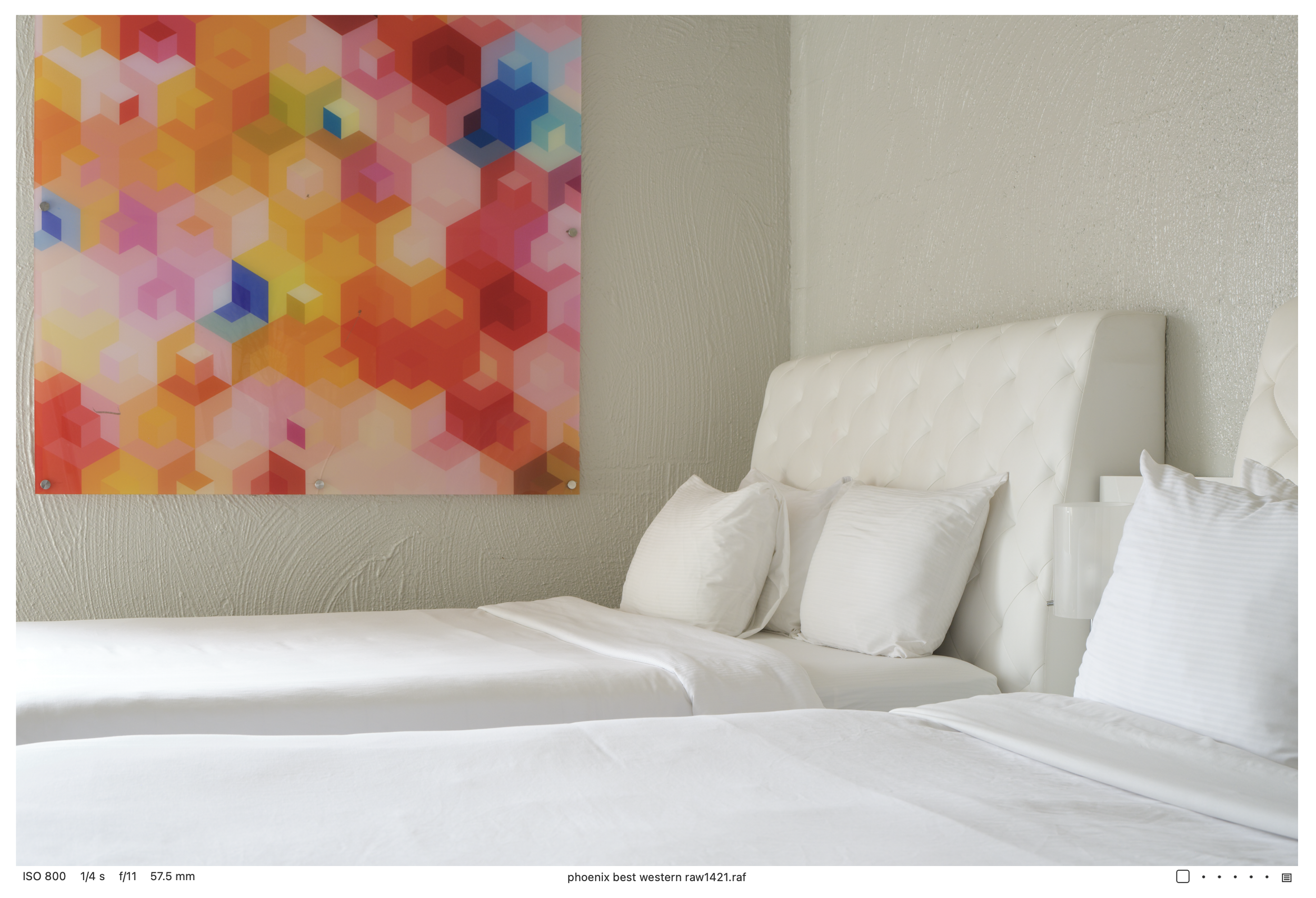 Screenshot 2026-02-18 at 1.56.31 PM.png