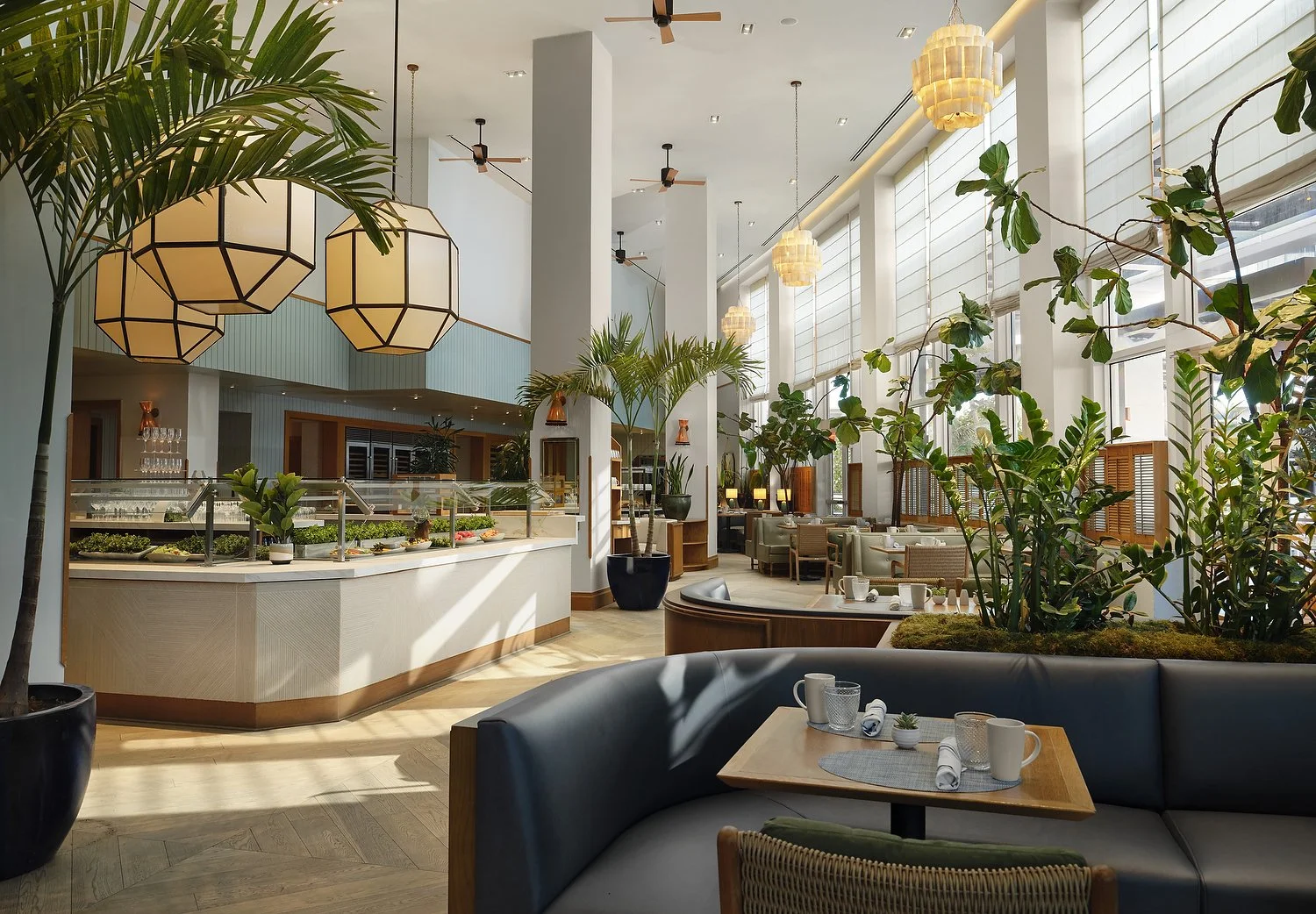 The Diplomat H (Edited).JPG