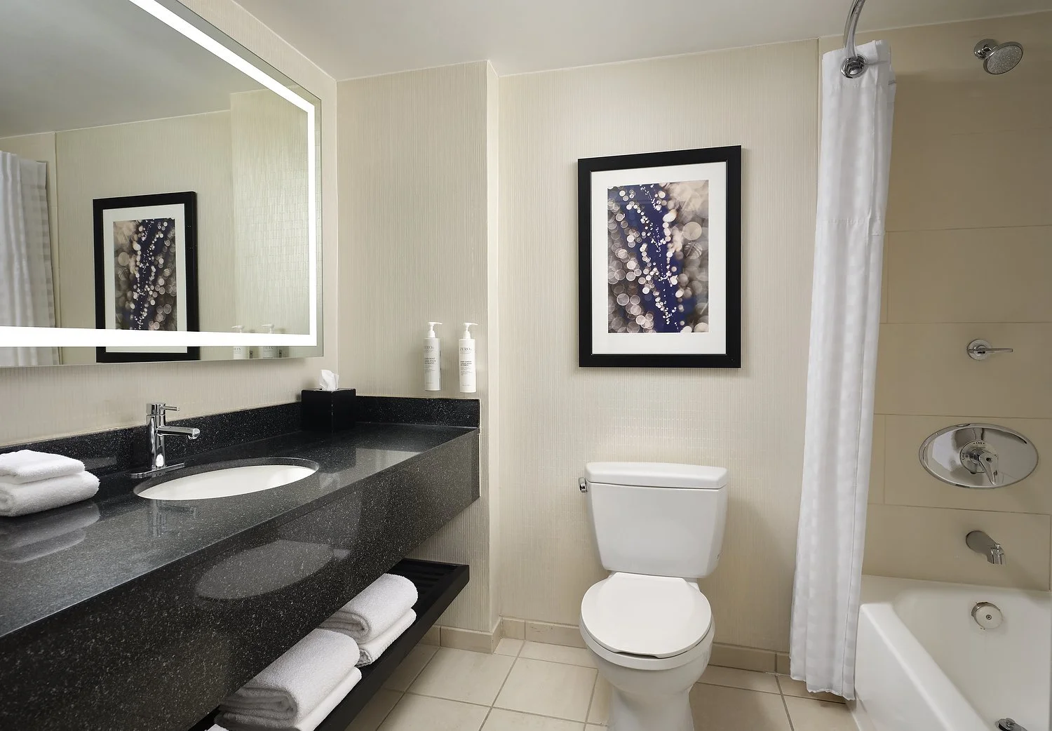 EMBASSY SUITES CHICAGO room 734 standard bath.JPG