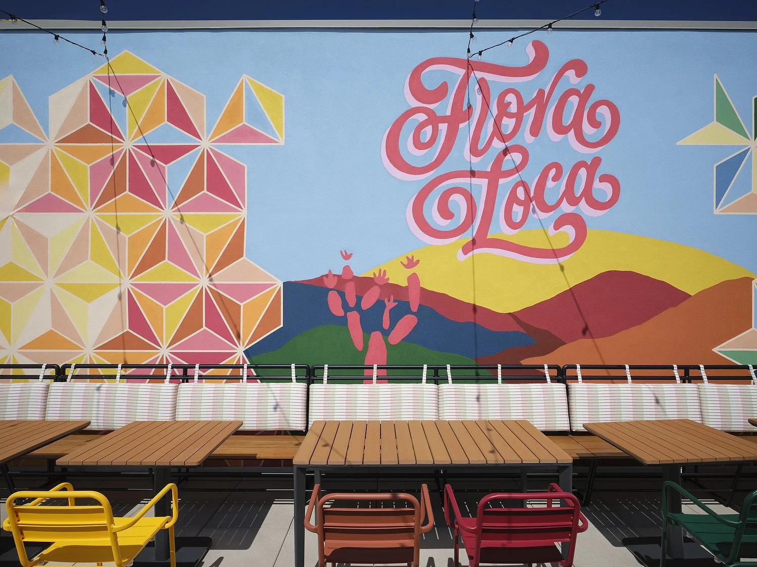 SHS_SBAVO_rooftop_mural_day.JPG