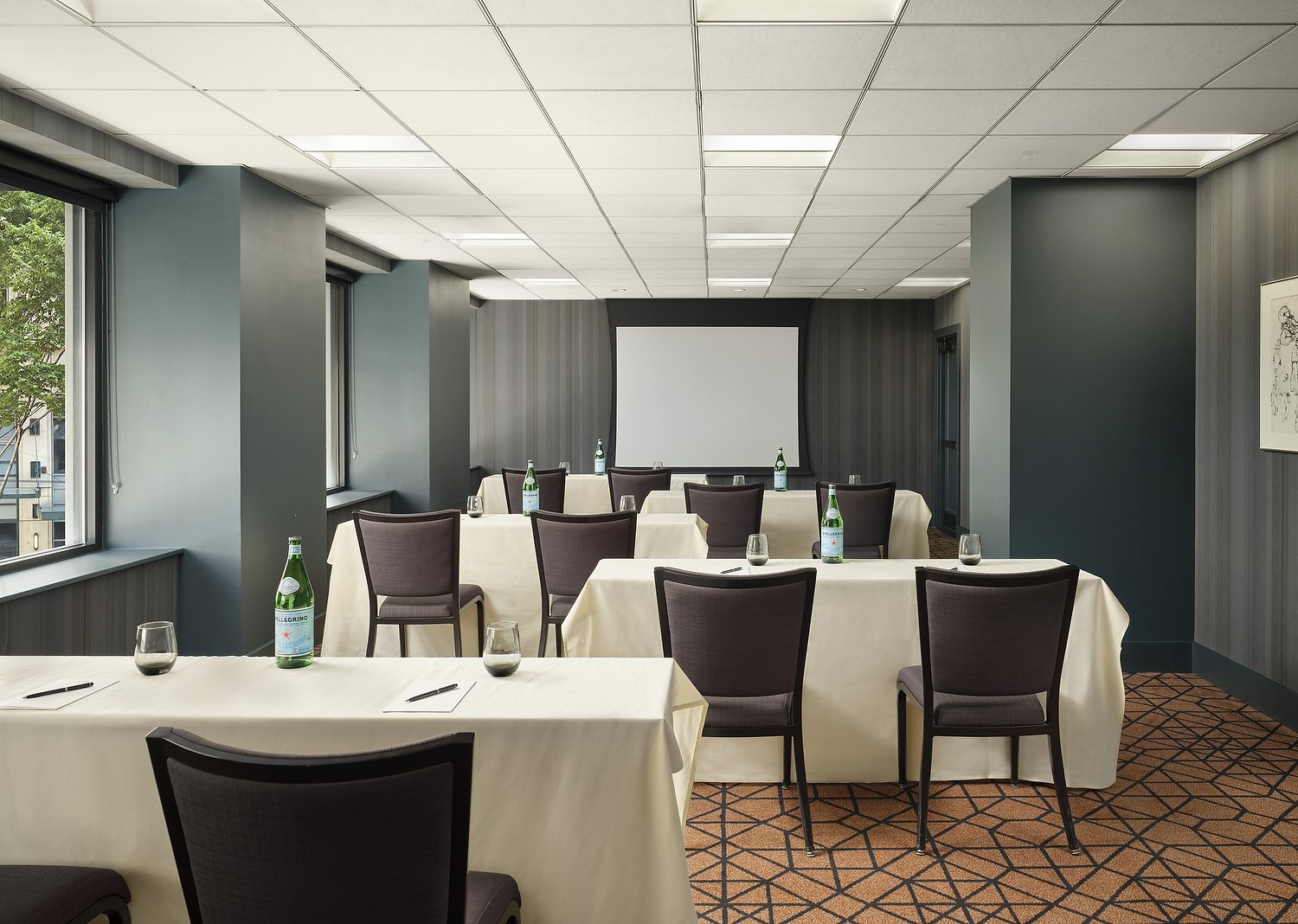 HOTEL THEODORE cabinet room boardroom.JPG
