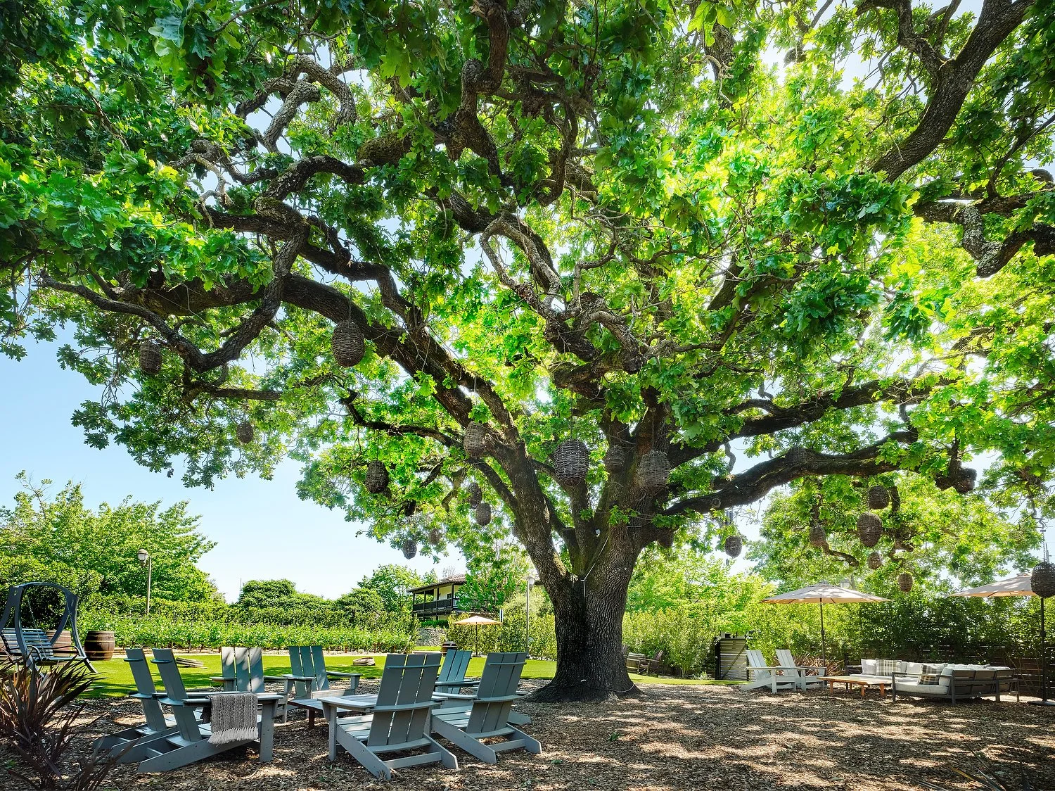 The Lodge at Sonoma7748.JPG