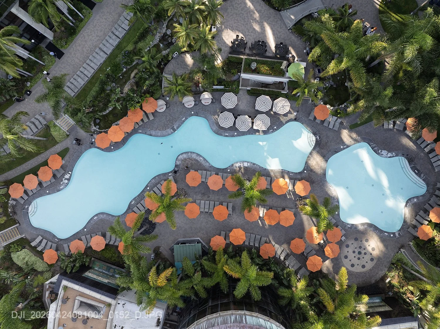DJI_20260424081004_0152_D.JPG