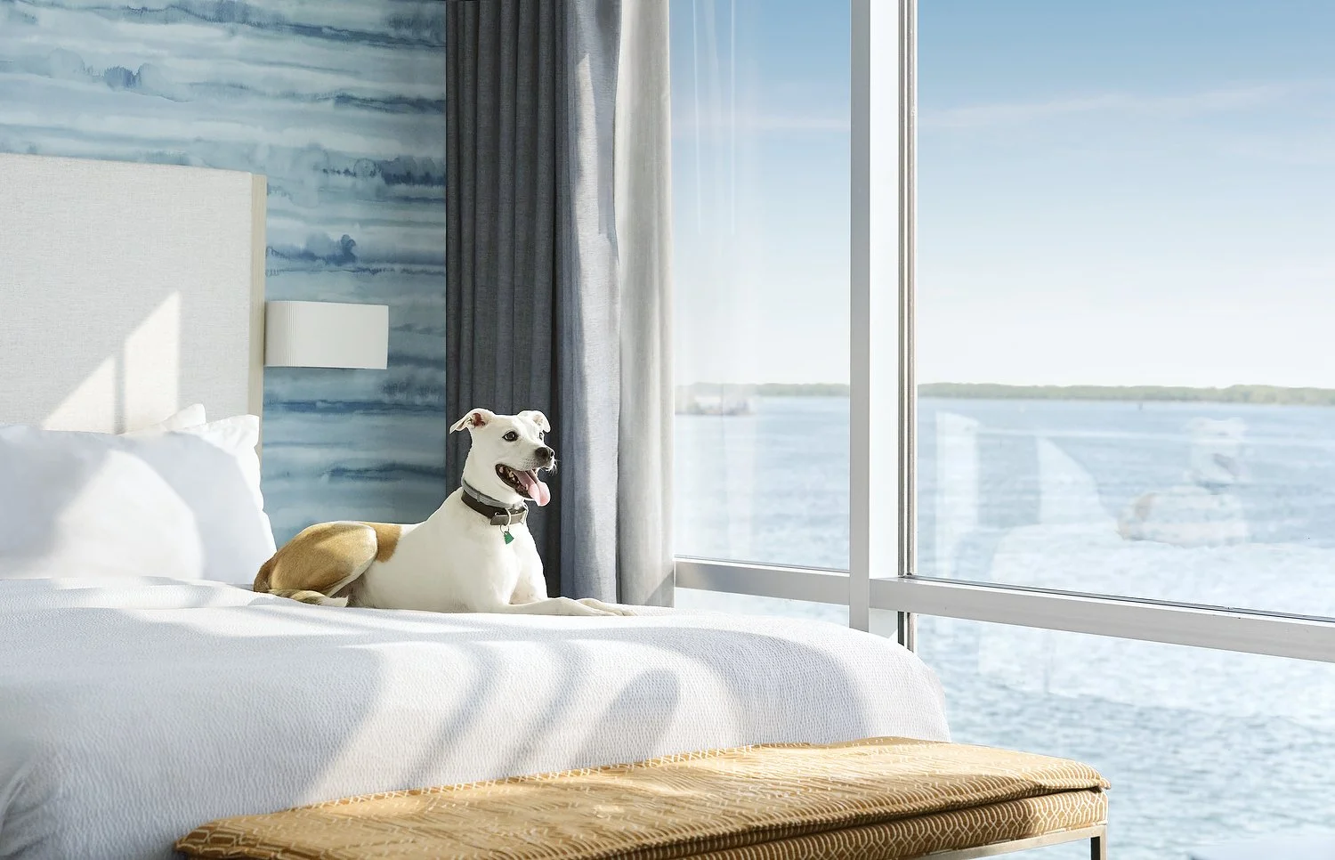 CY_ERIDT_dog_friendly.JPG