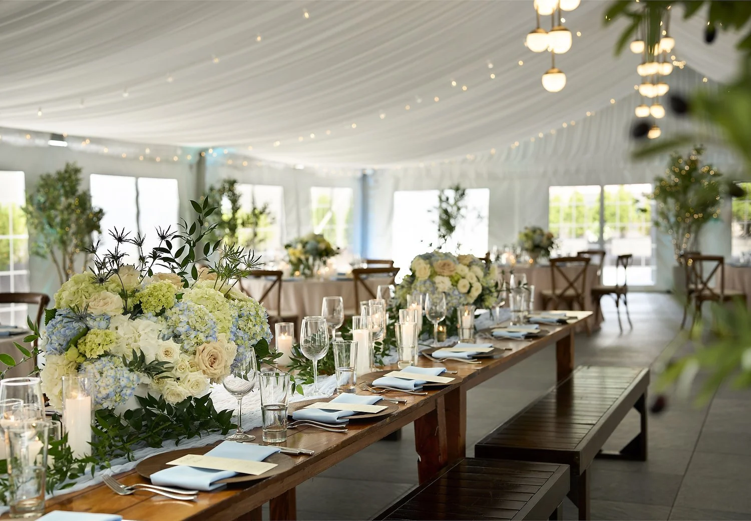 Tent 2 (close up).JPG
