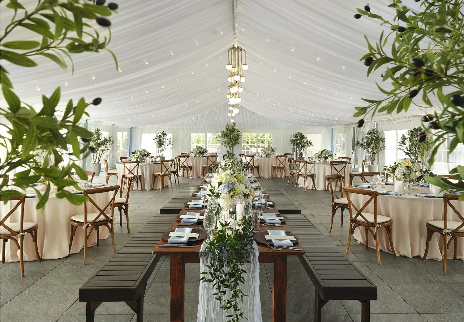 Tent 2.JPG
