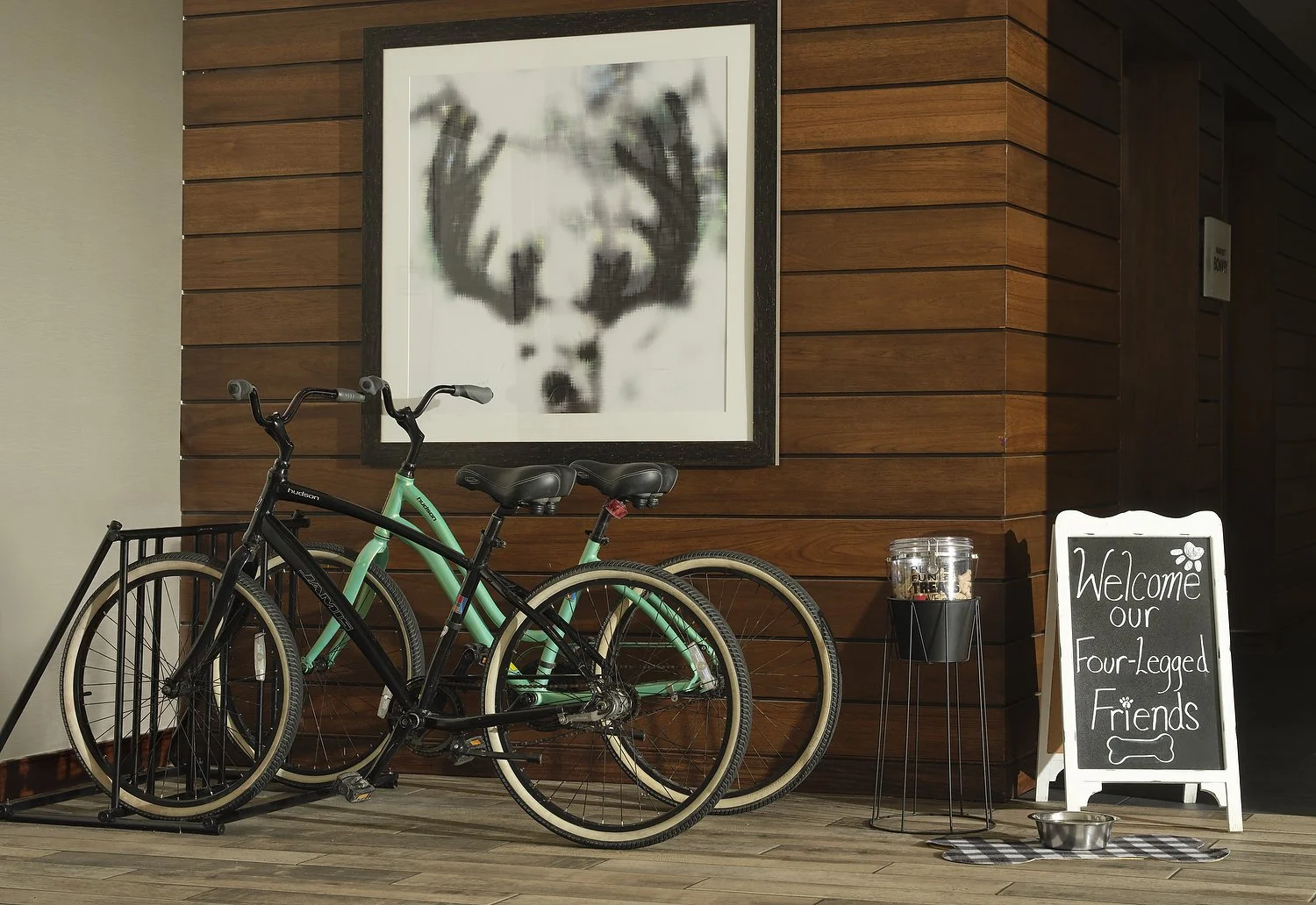 RI_DENOF_pet_bikes.JPG
