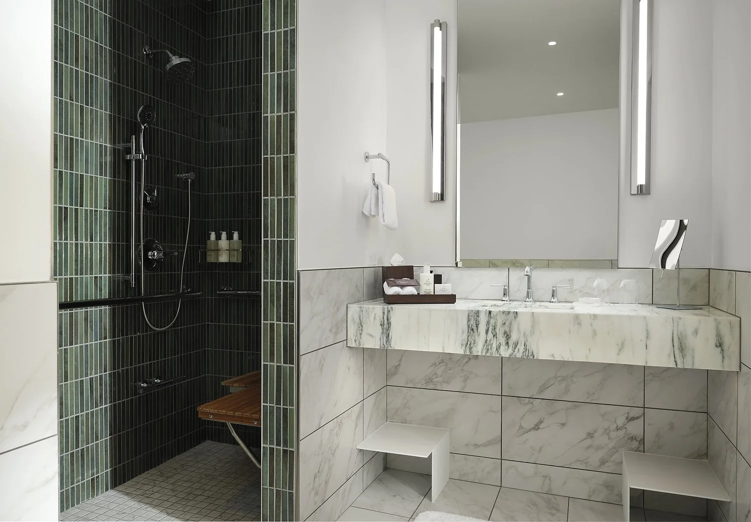 1026 GRIFFIN ACCESSIBLE ROLL-IN bathroom A.JPG