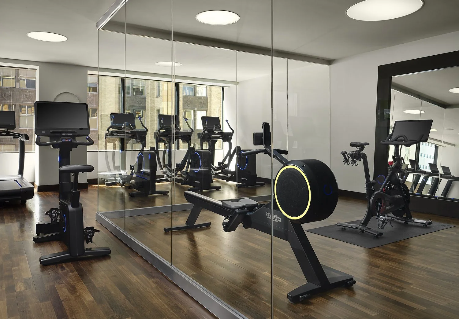 GYM FISH BOWL.JPG