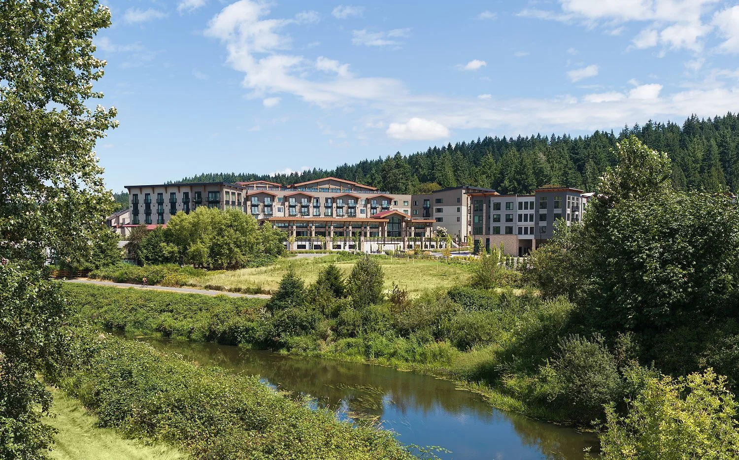 Untitldfdfasdfaed_Panorama-1.JPG