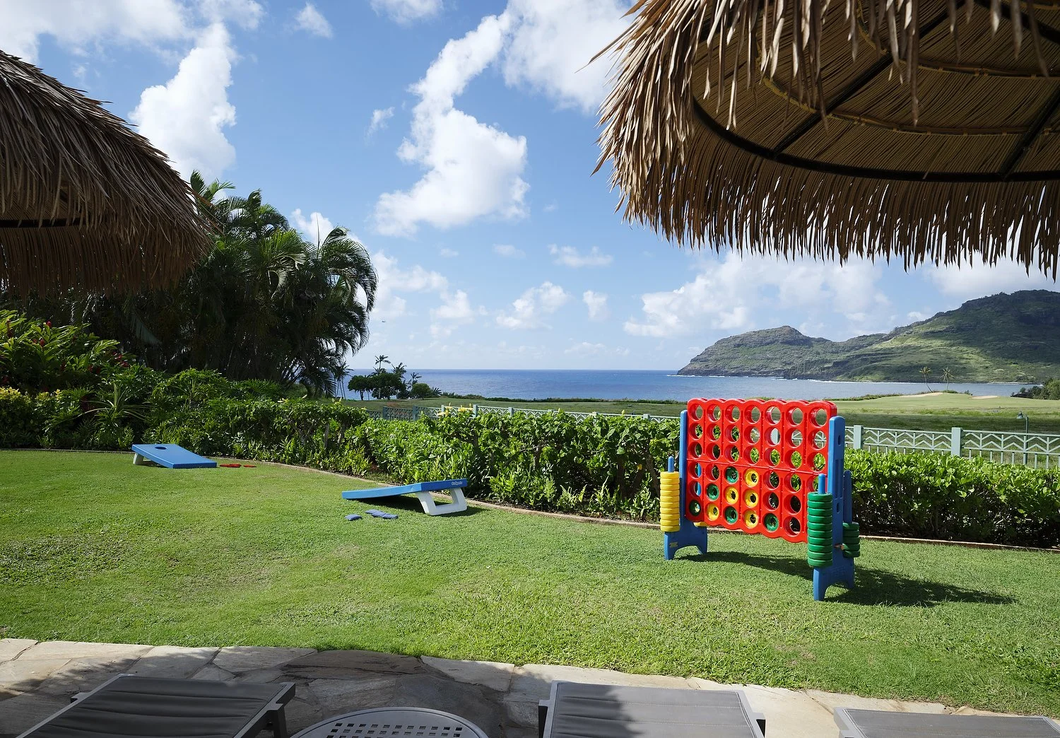 kauai mvc raw20122.JPG