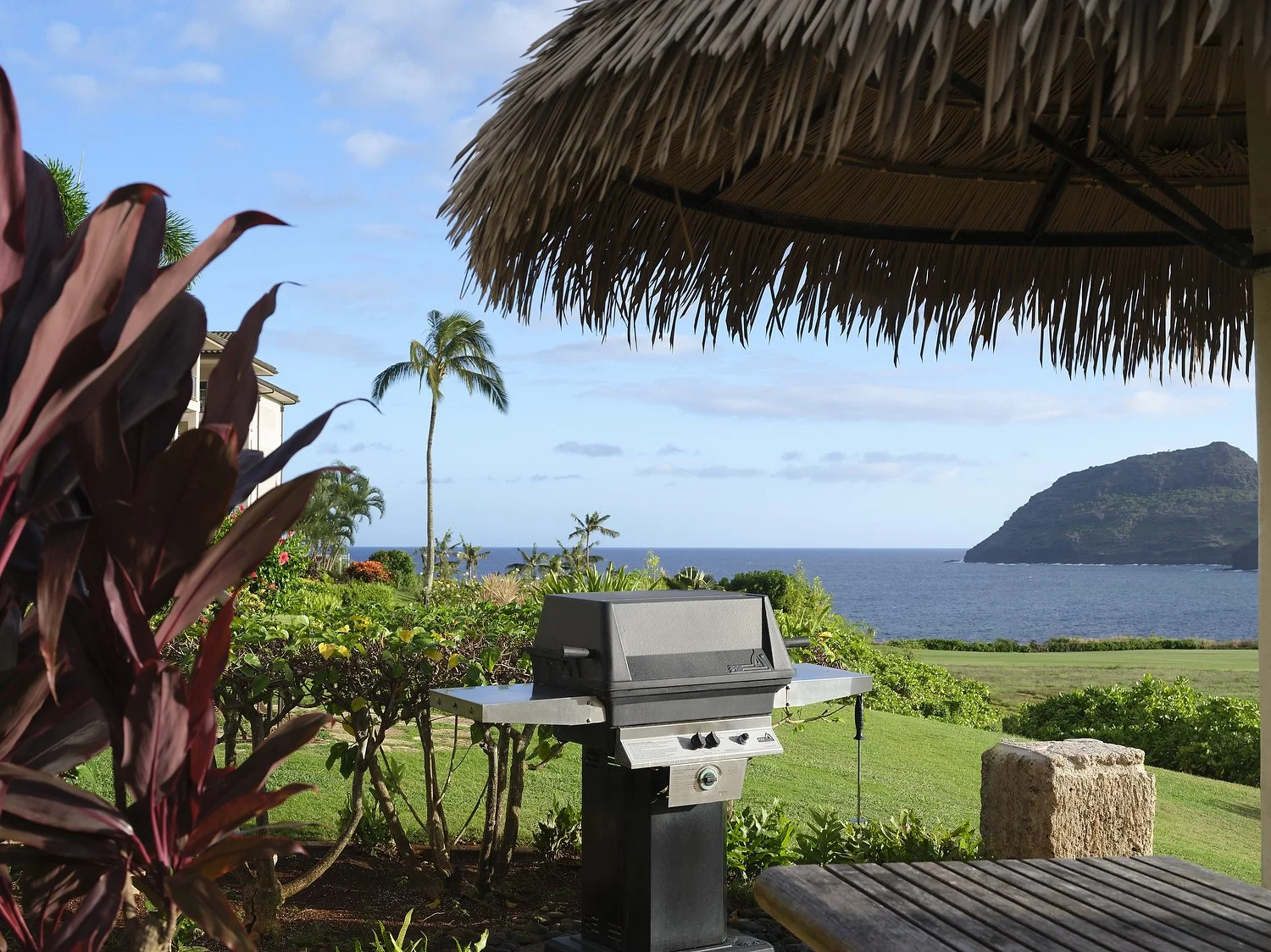 kauai mvc raw20428.JPG