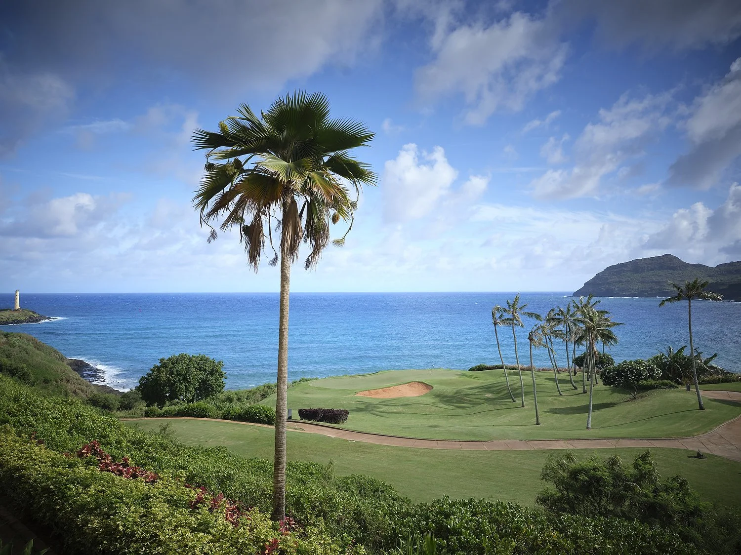 kauai mvc raw21112.JPG