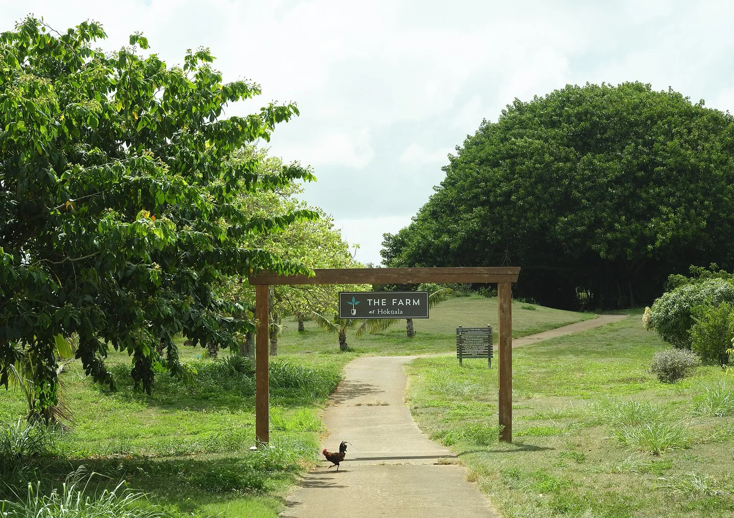 DSCF2980.JPG