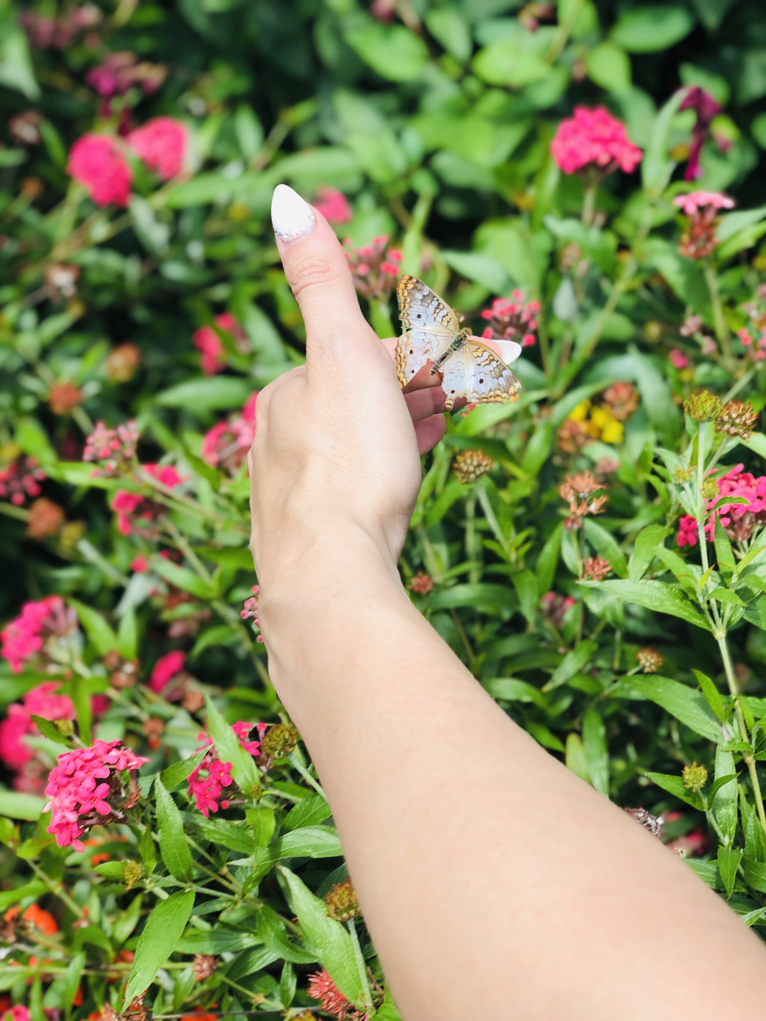 Your Go-To Easter Foodie Guide for WDW