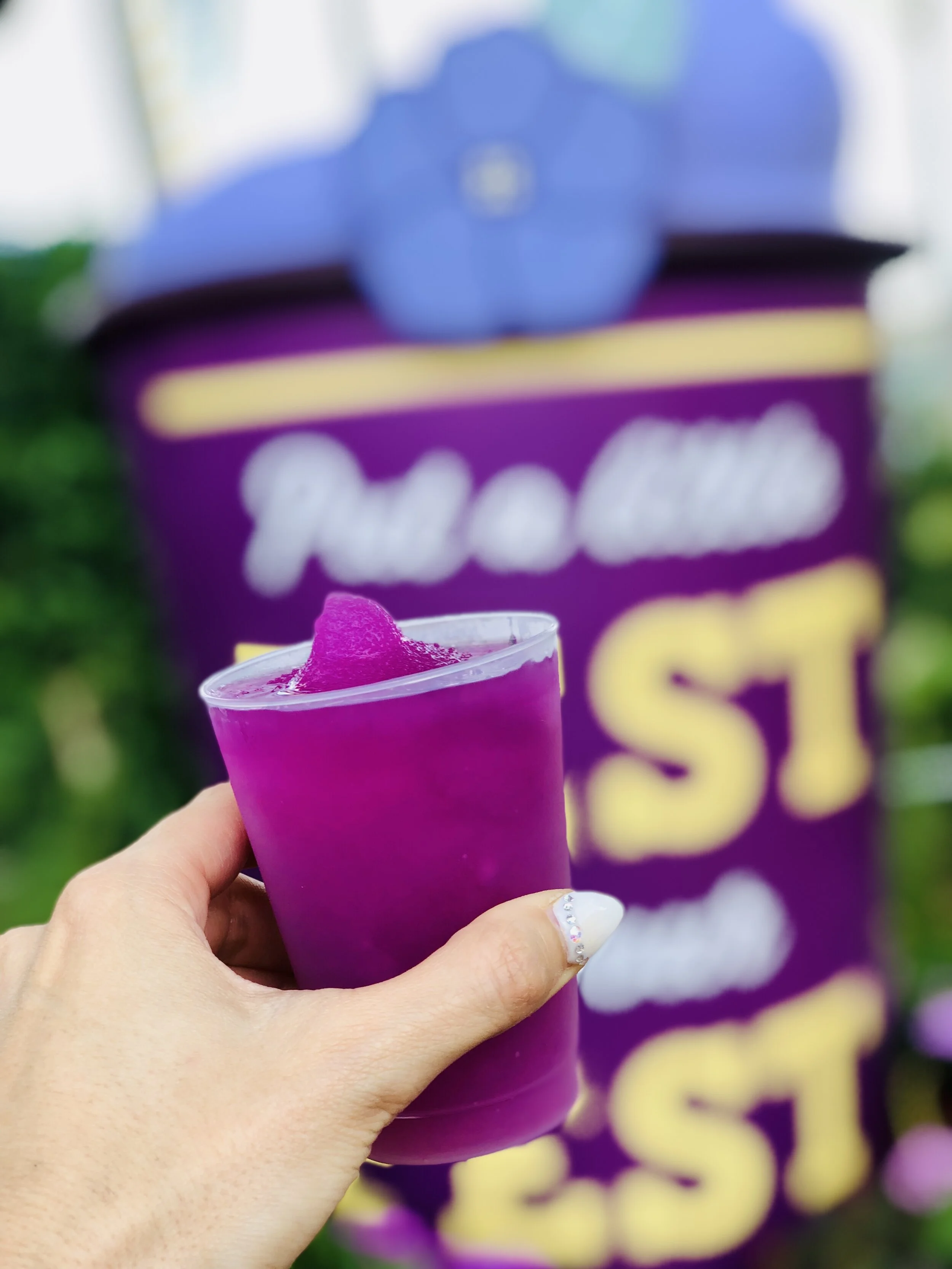 Go-To Guide for Everything Flower and Garden Festival