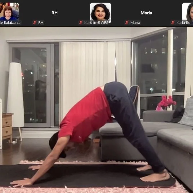 NEW Adult Yoga Flow Classes Start January - Online &amp; In-Person