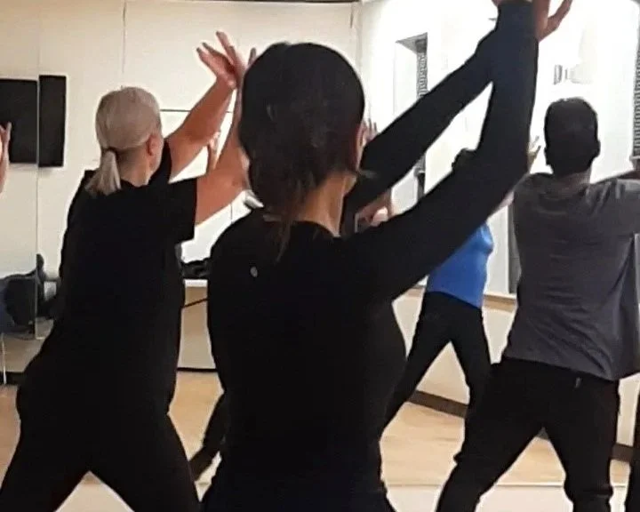 Bollywood_dance_fitness_class_in_toronto_fusioncardiotoronto_annex_highpark1.jpg