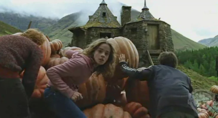 The trio hiding in hagrids pumpkin patch.jpg
