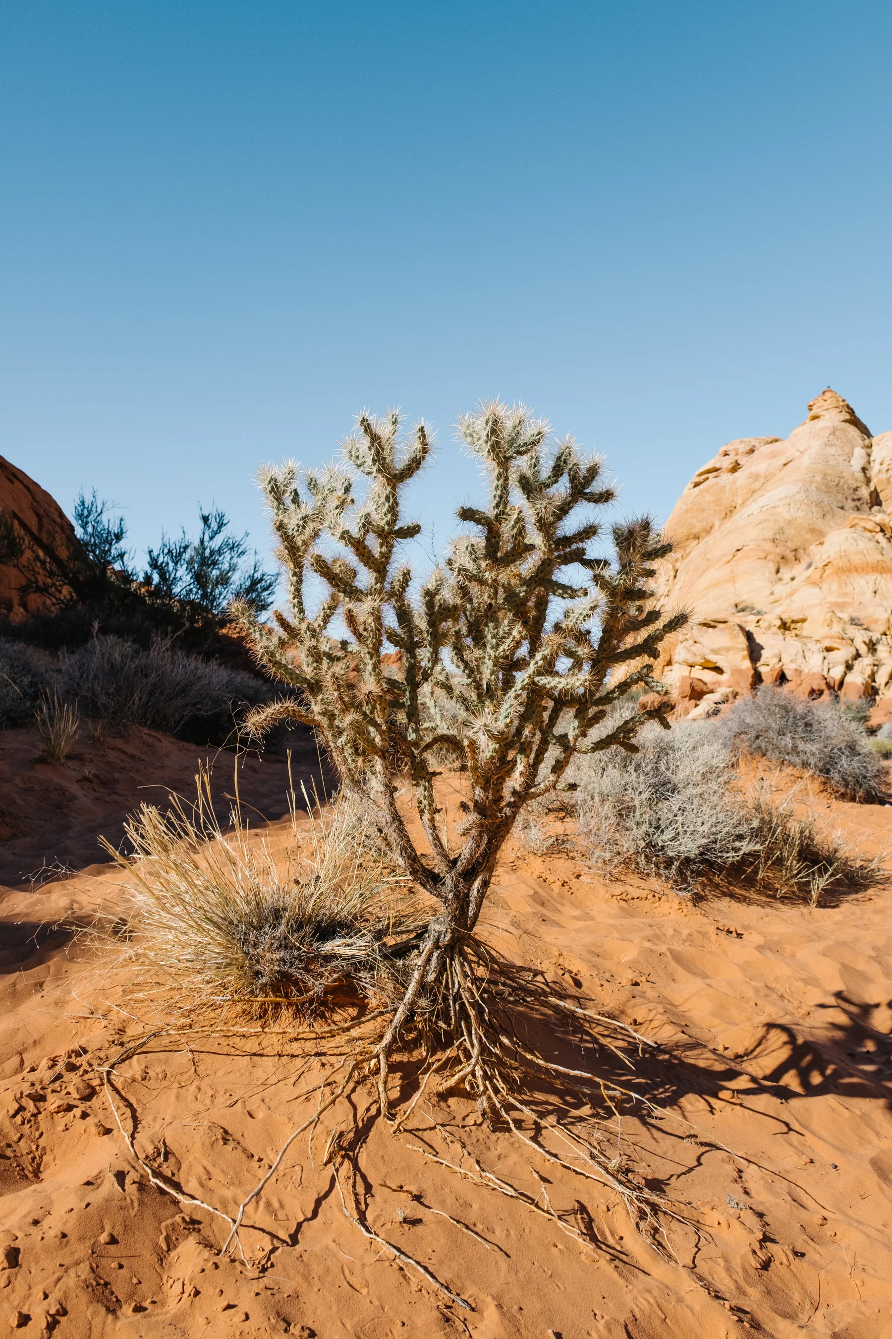 fujifim-valley-of-fire-11.jpg