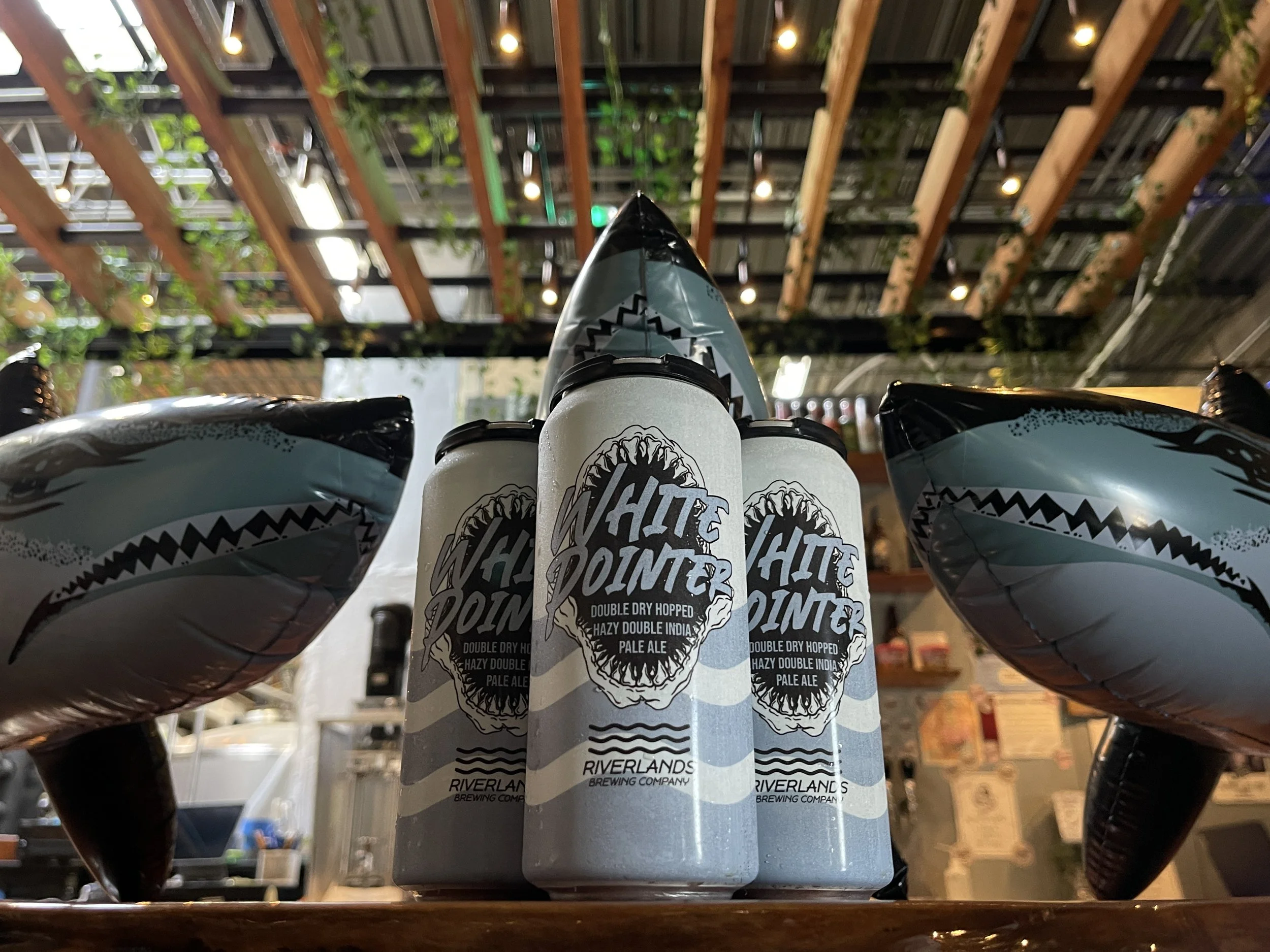 Shark Trivia - White Pointer Week Event!