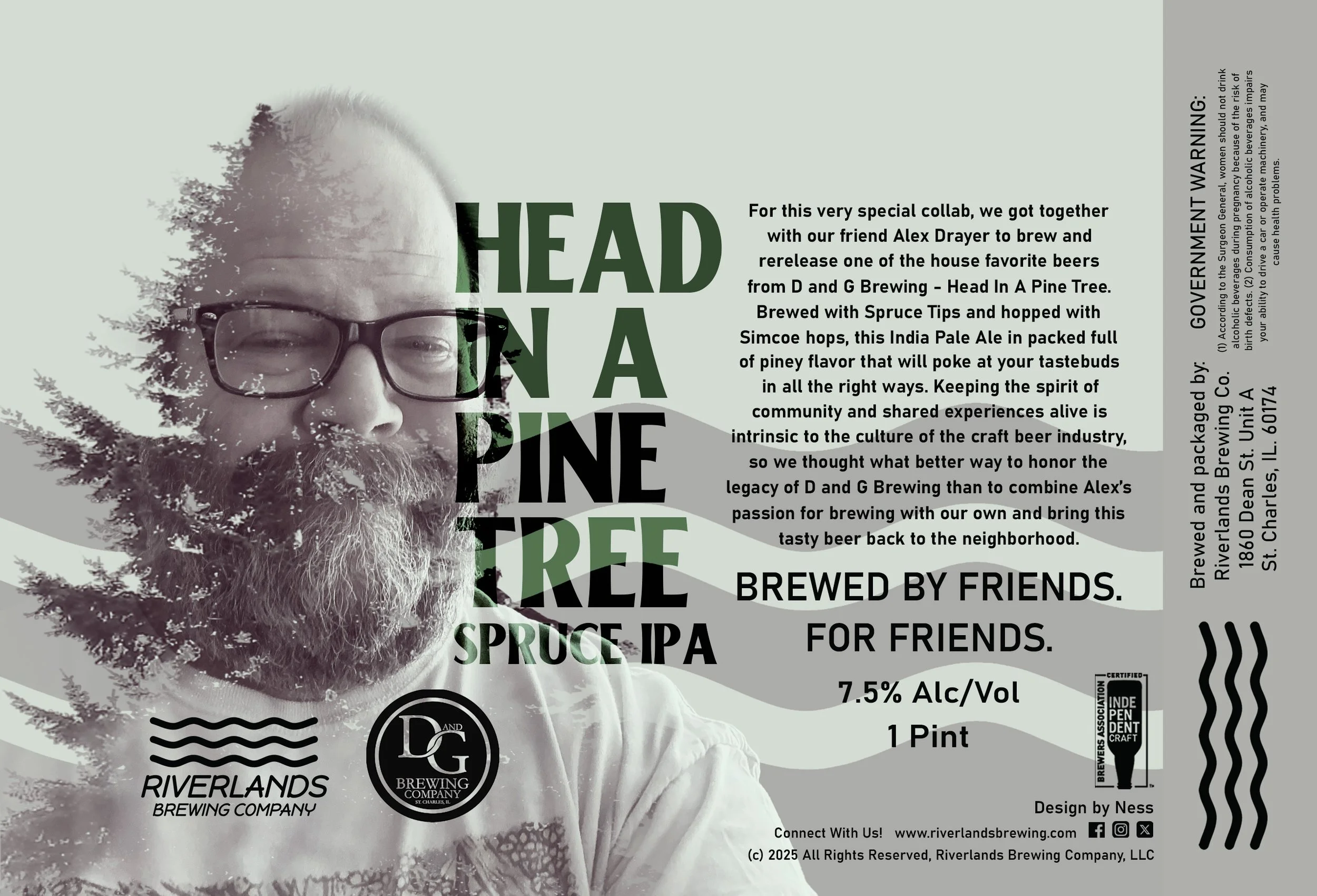 Head in a Pine Tree Spruce IPA - SPECIAL TAPPING