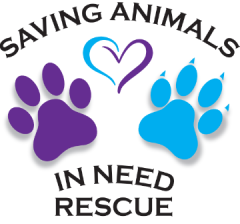 SAIN Animal Rescue Puppies on the Patio!