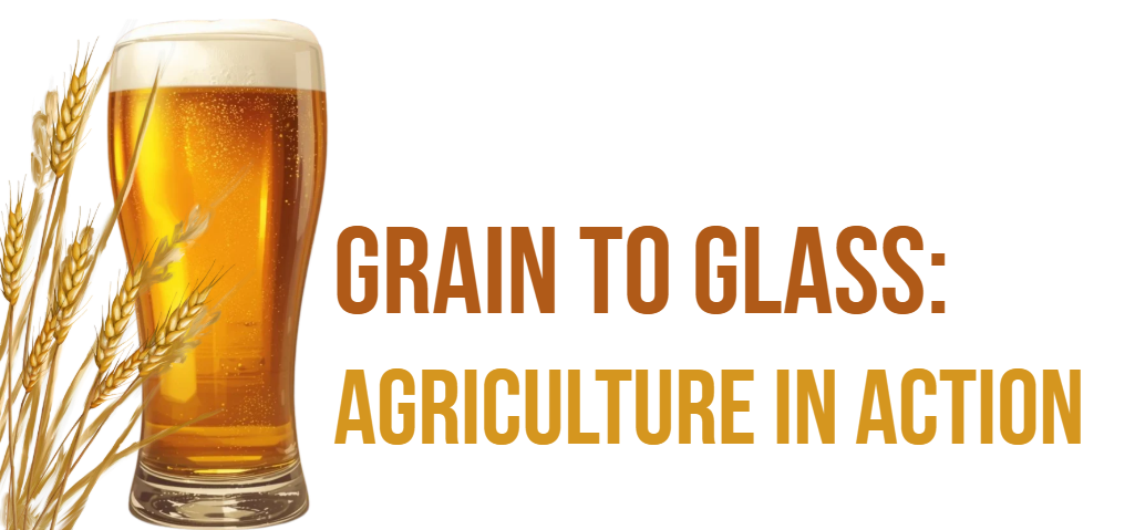 Grain to Glass: Agriculture in Action