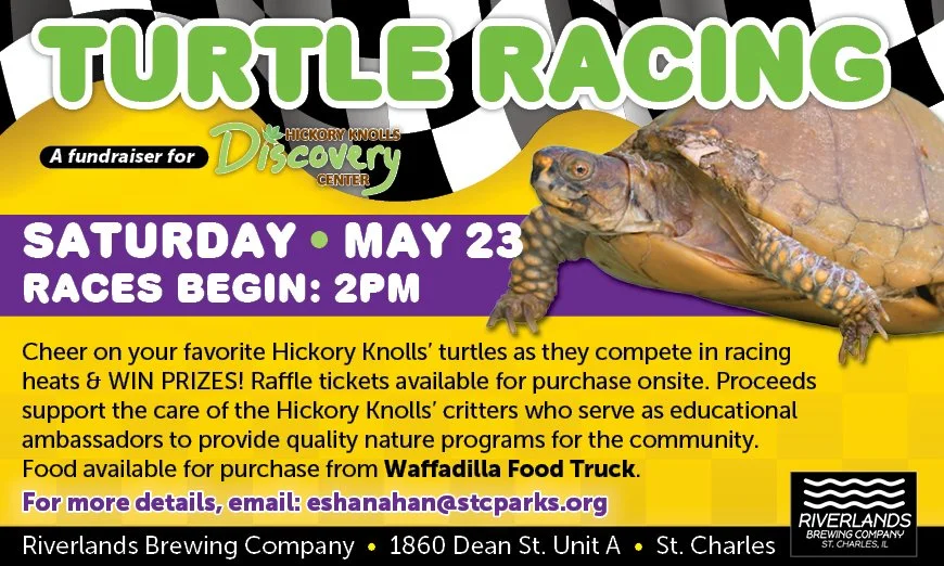 Turtle Races on May 23rd! Open at noon, races at 2pm!