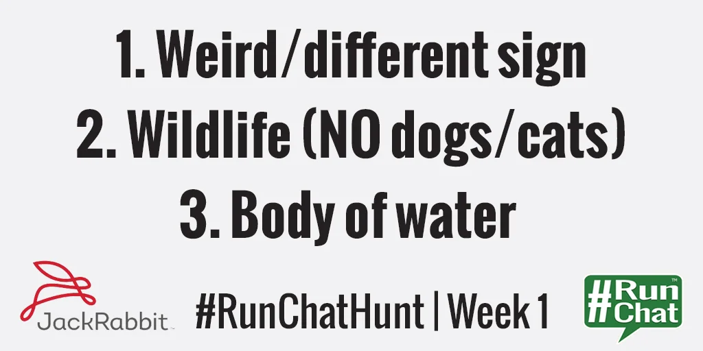 runchathunt - june 3.jpg