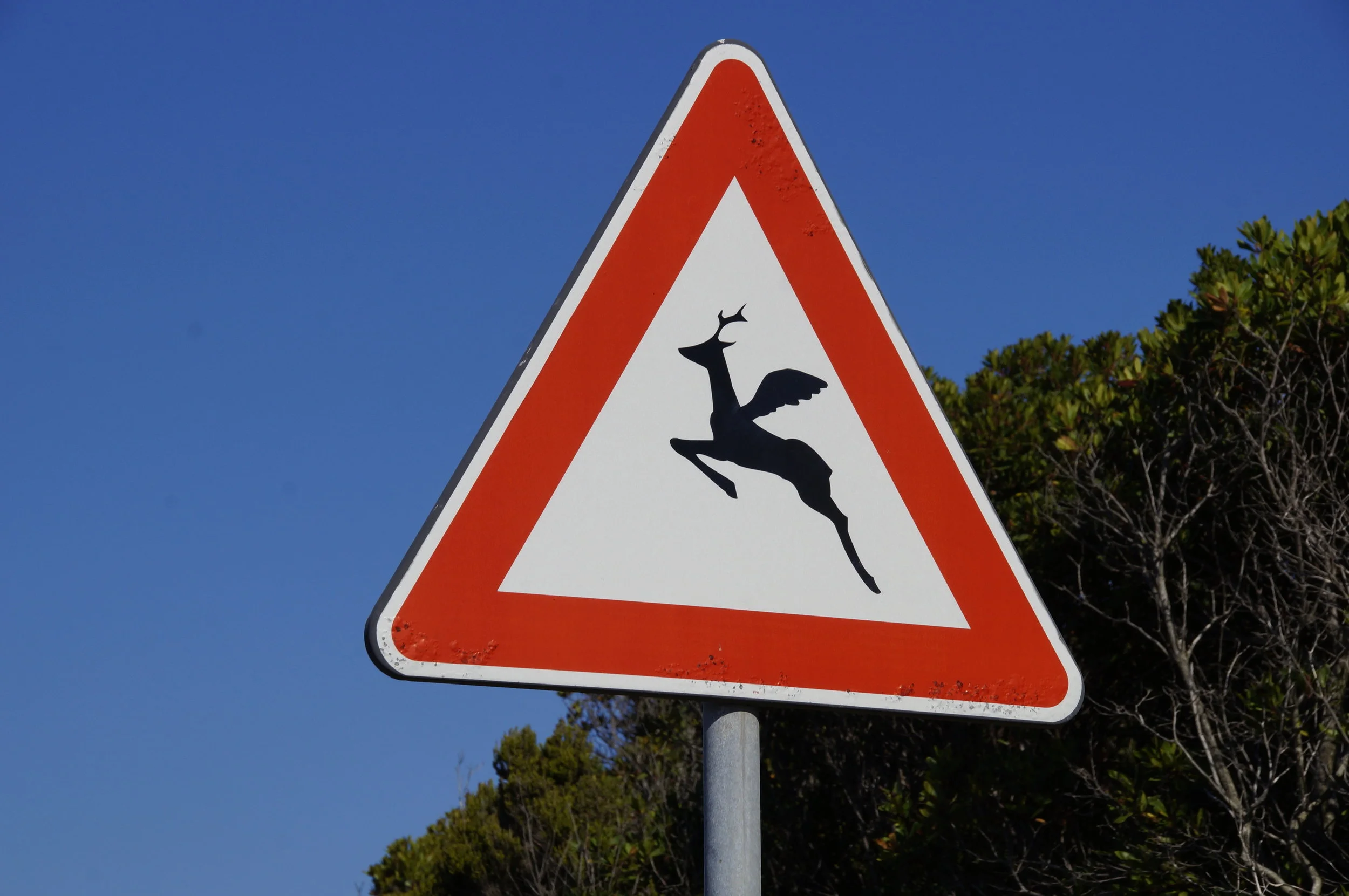 #RunChatHunt returns with a twist