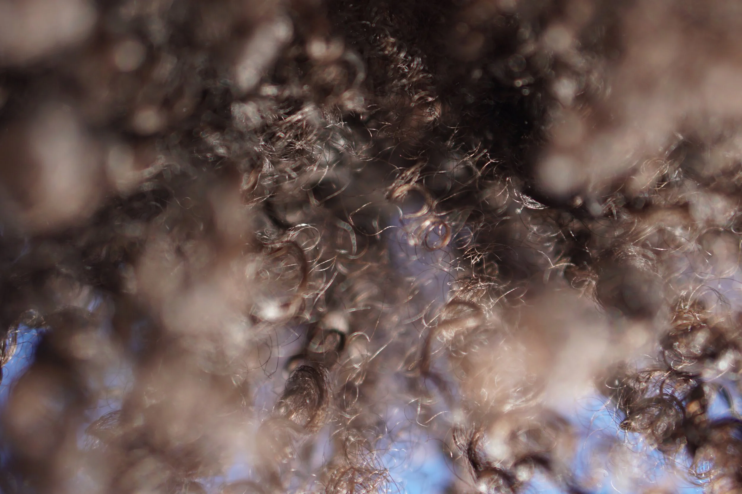 1 - SKY LIGHT (Original).jpg