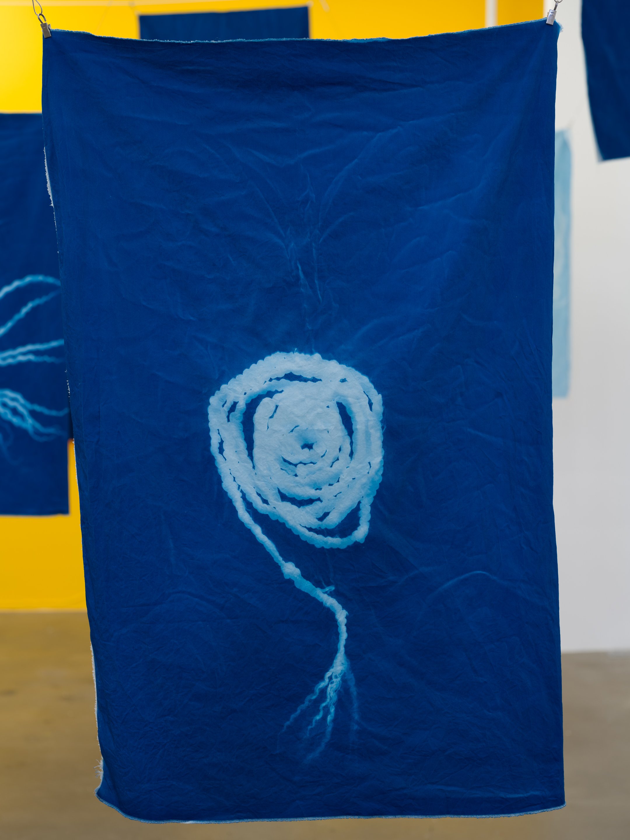 Untitled Cyanotype (braided coil)