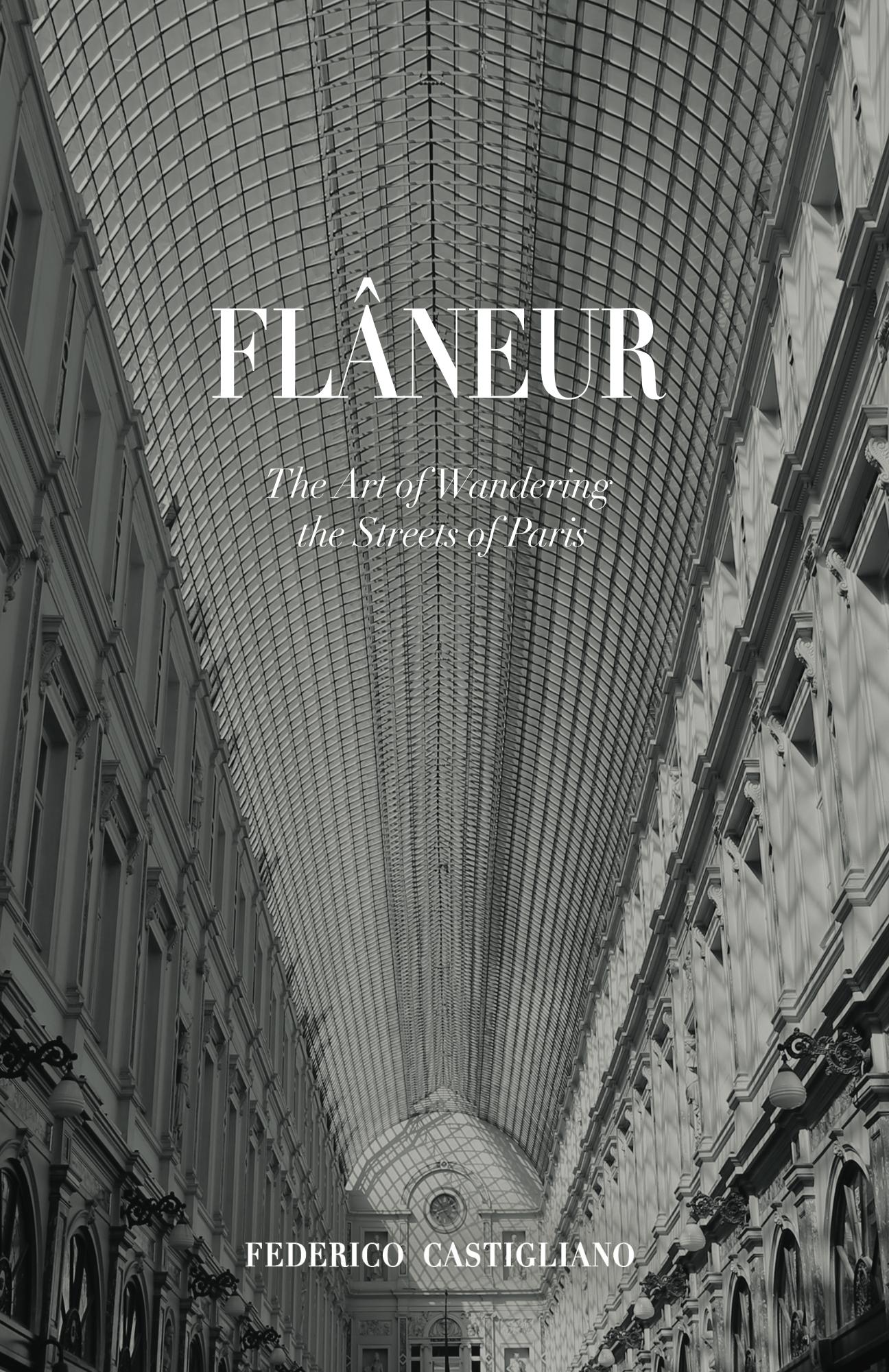 Flneur_Cover_for_Kindle.jpg