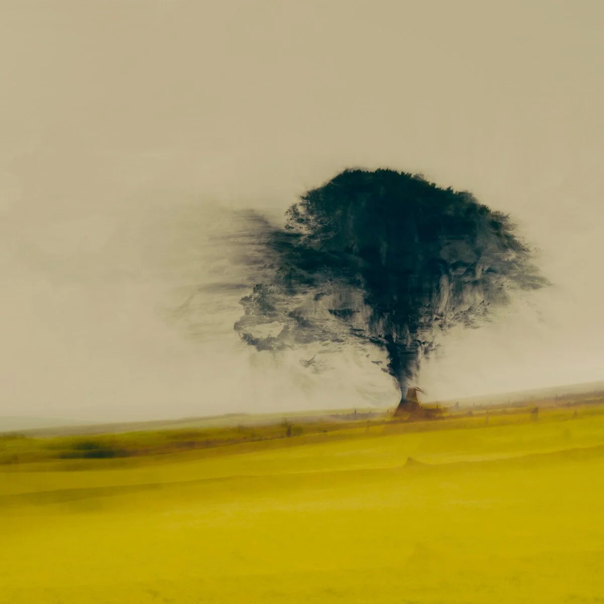 A Tree Standing.jpg