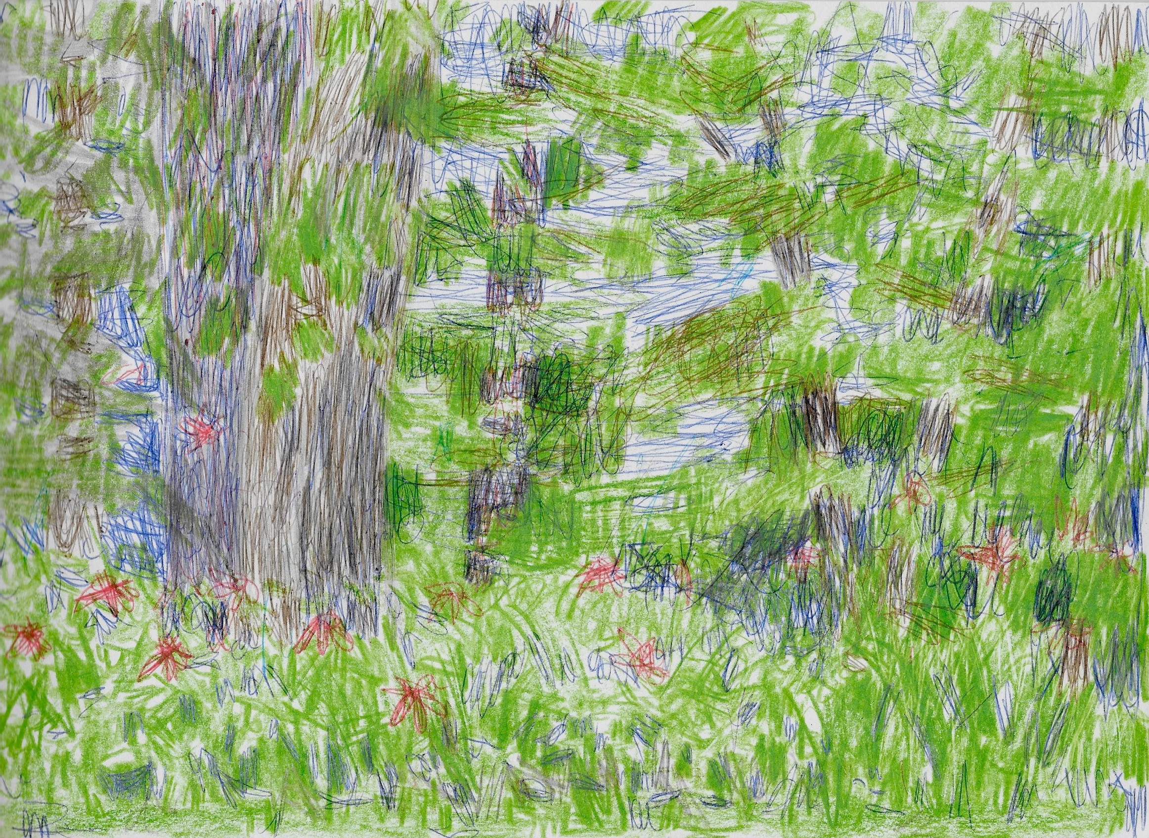 Backyard Summer