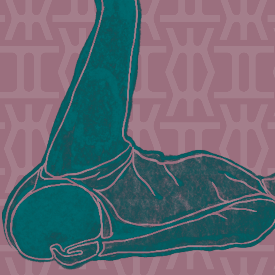 Ilustración artística de un hueso del pie, con contornos resaltados en lila, sobre fondo morado con patrón de copos de nieve.