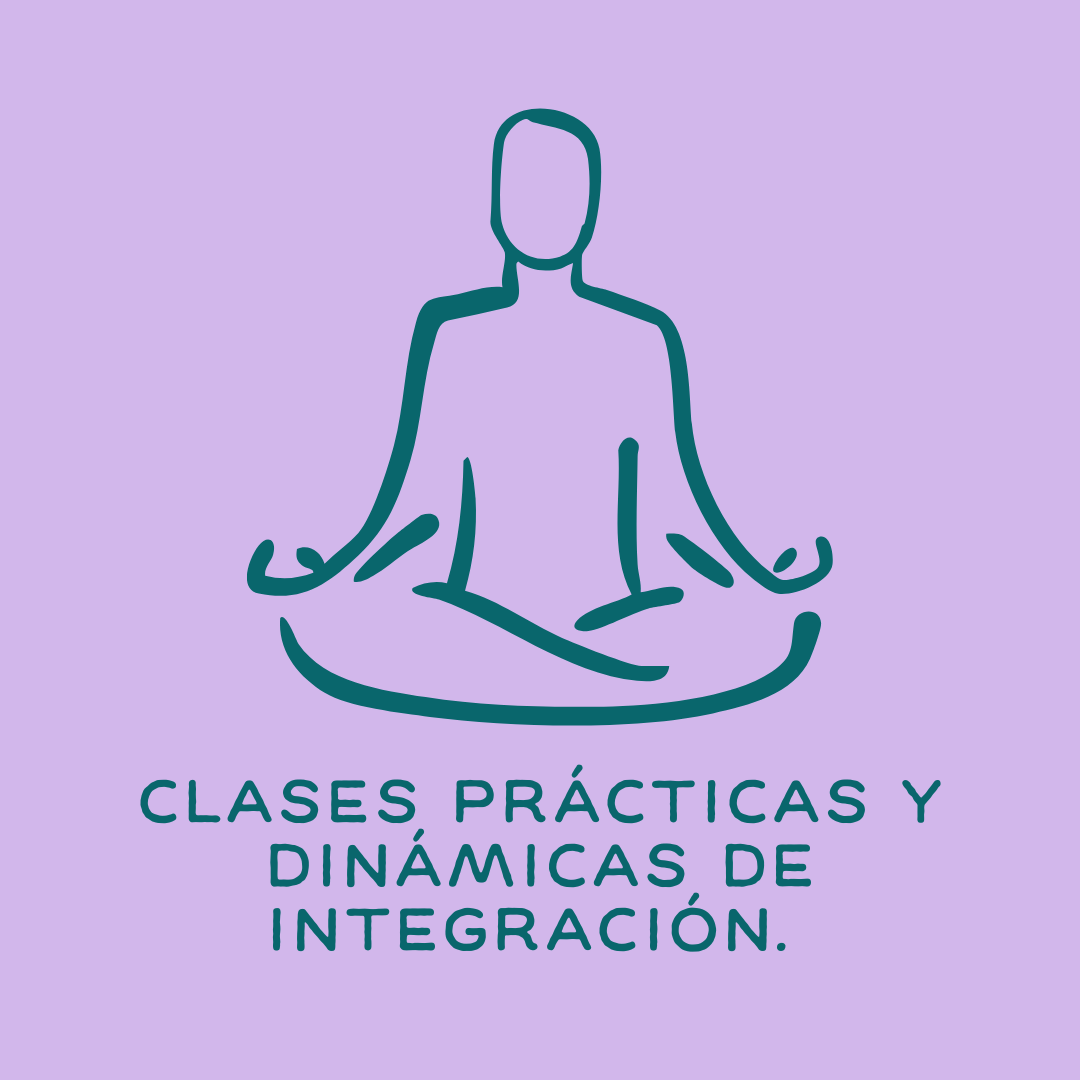 Clases prácticas y dinámicas de integración.