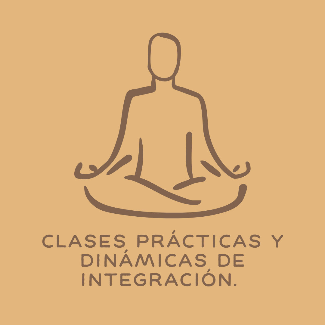 Clases prácticas y dinámicas de integración.