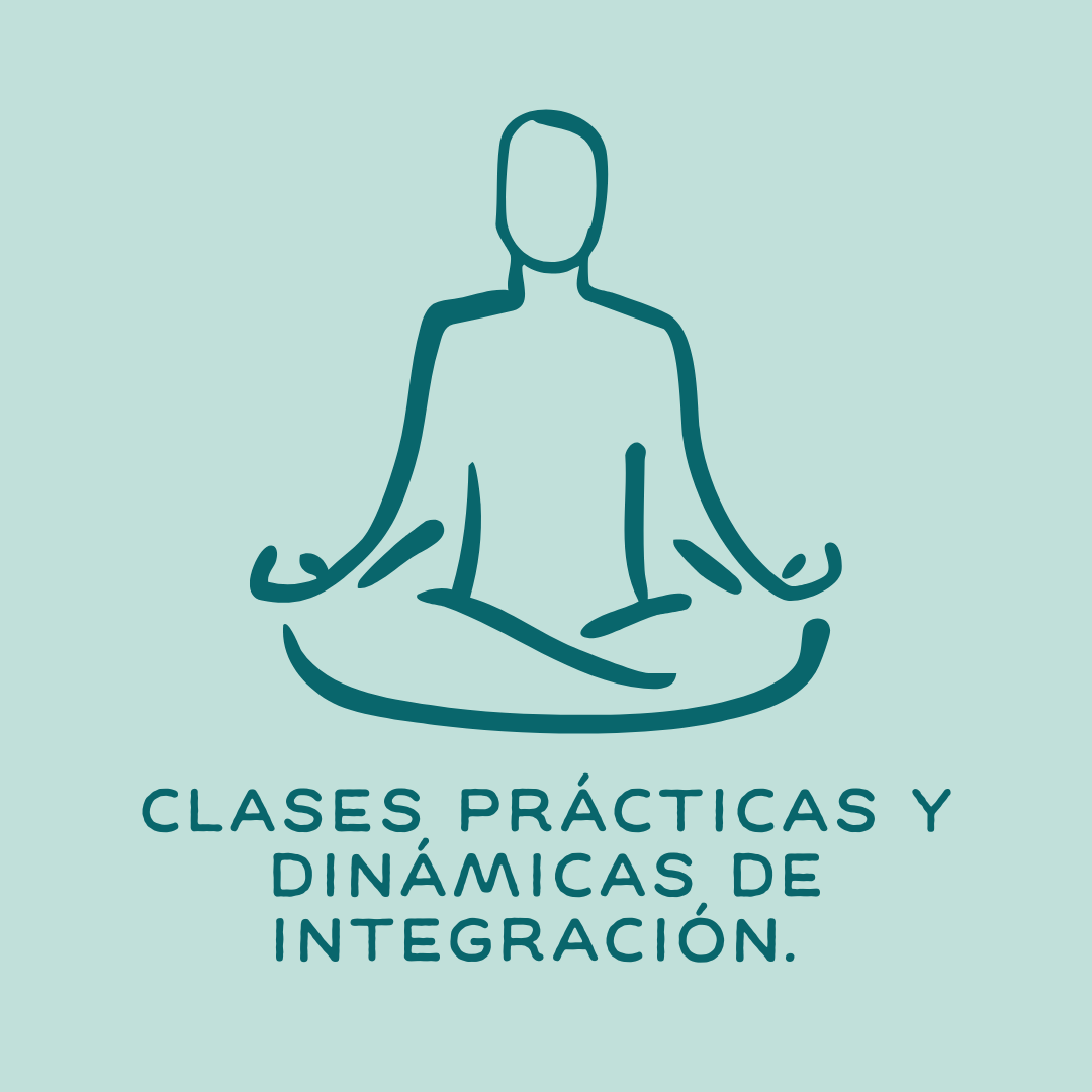 Clases prácticas y dinámicas de integración.