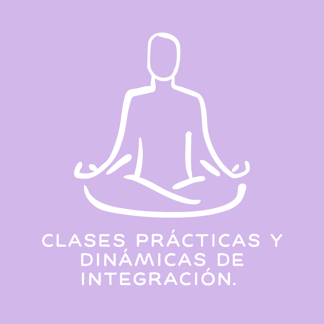 Clases prácticas y dinámicas de integración.