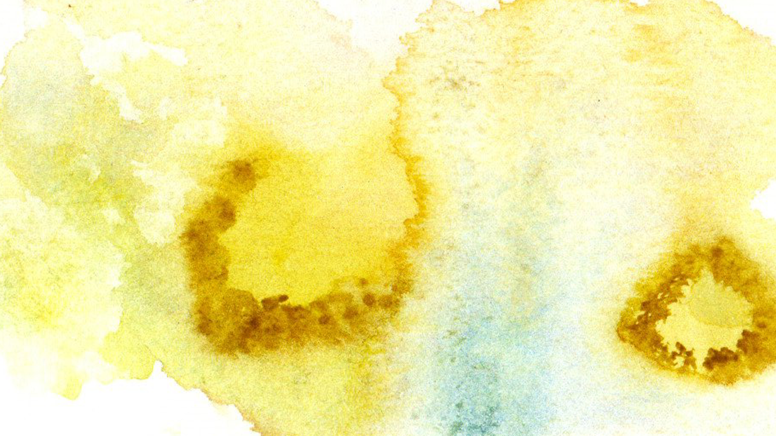 Manchas de acuarela amarillas y marrones en una hoja de papel.