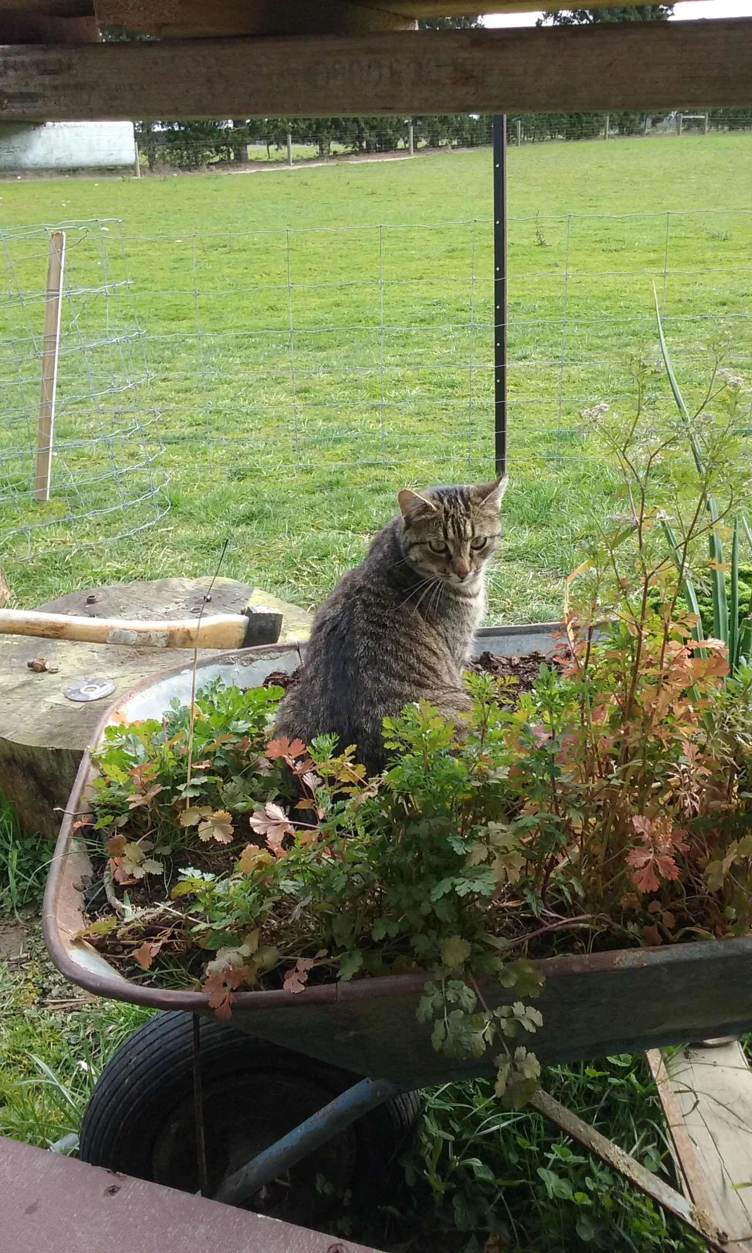 Modifications- Improving the Tiny House!