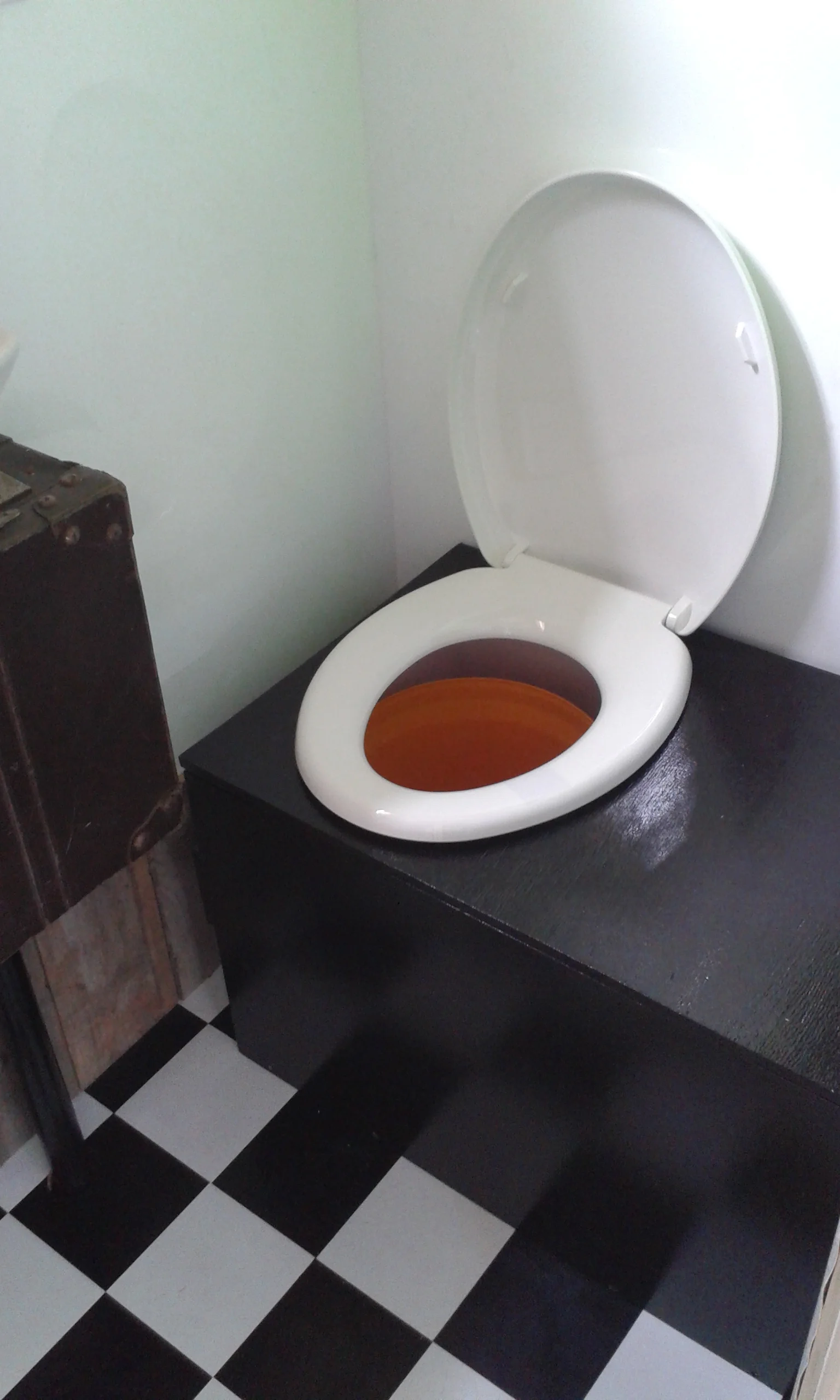 Composting Toilet