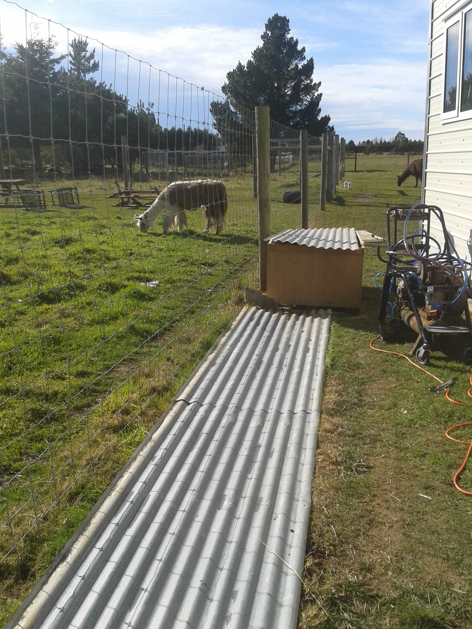 Ceiling Insulating and Covering