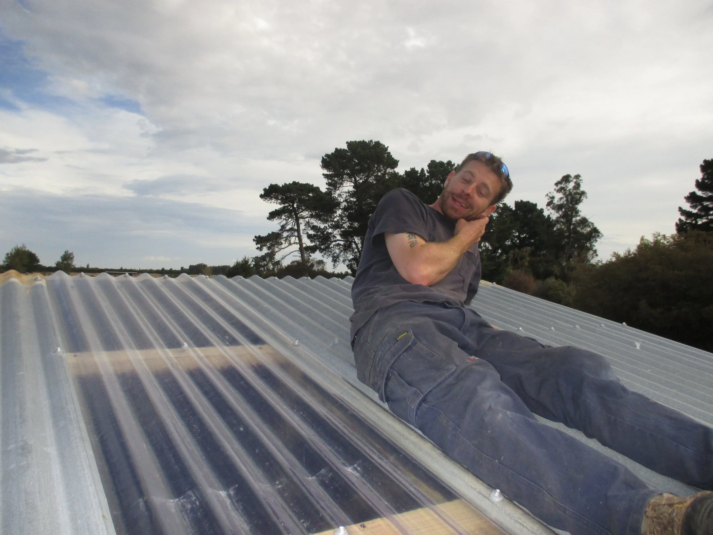 Framing and cladding the roof