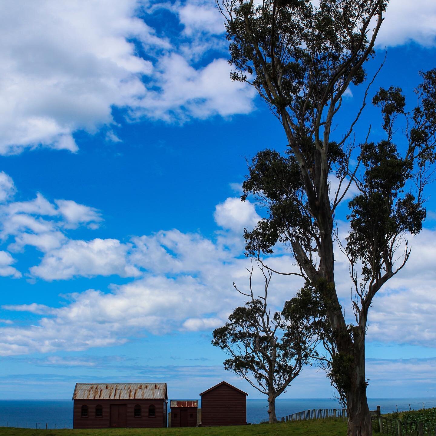 This is heaven #waikouaiti #matanaka