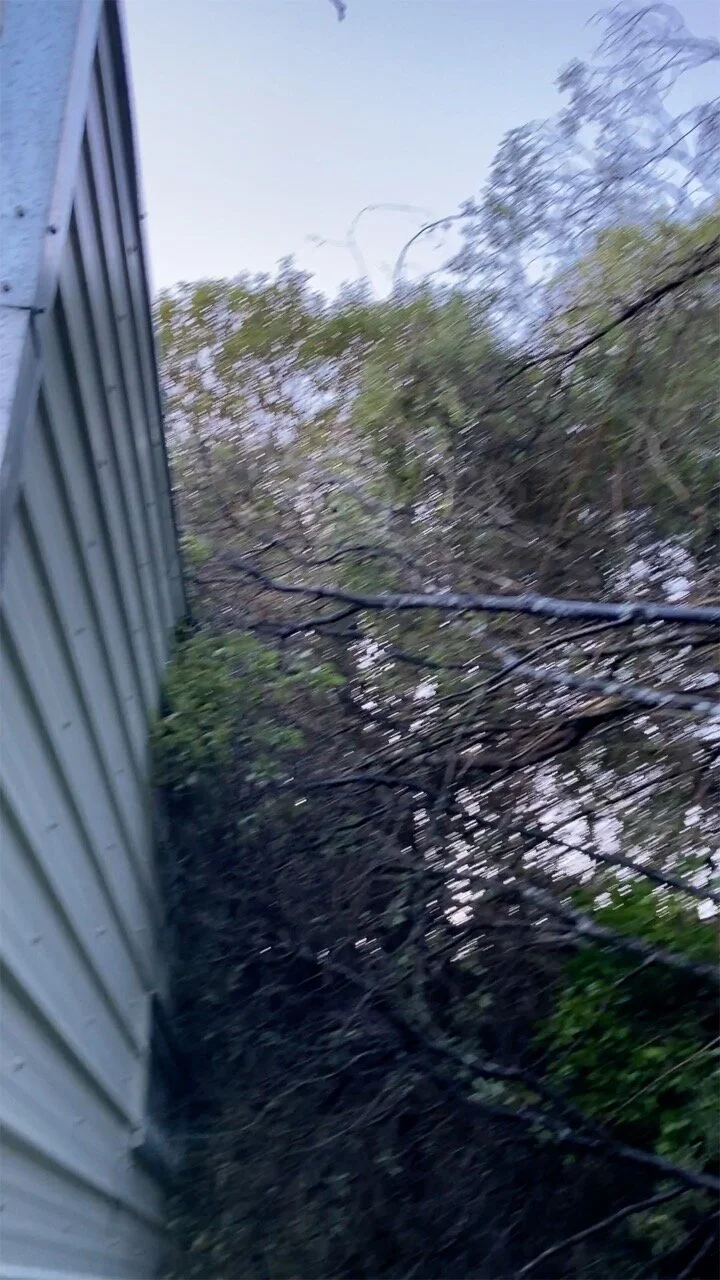 If a tree falls on a tiny house and we don't notice, does it make a sound?